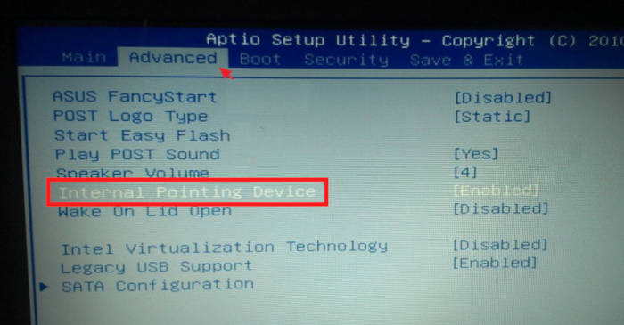 touchpad bios