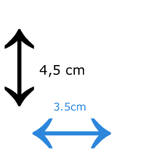 dimensões foto passaporte