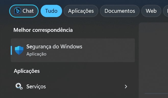 segurança do windows